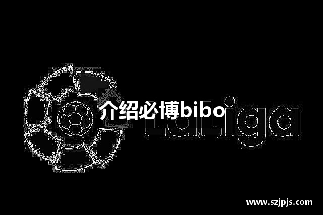 介绍必博bibo